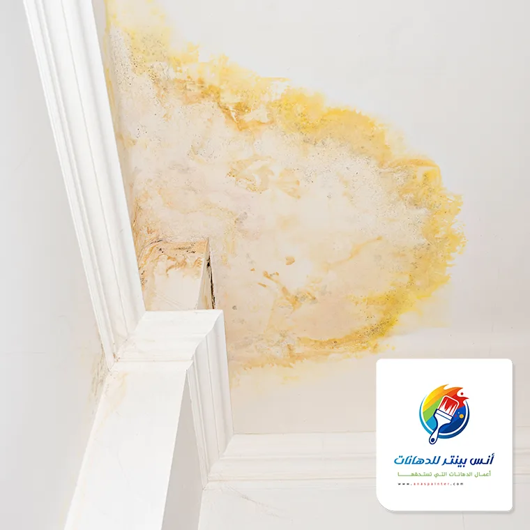 حل مشكلة الملوحة في السقف